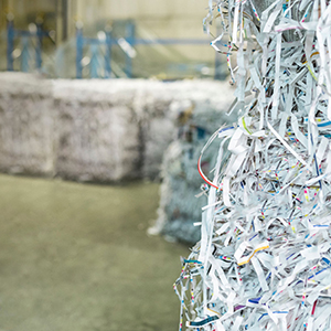 how paper recycling works