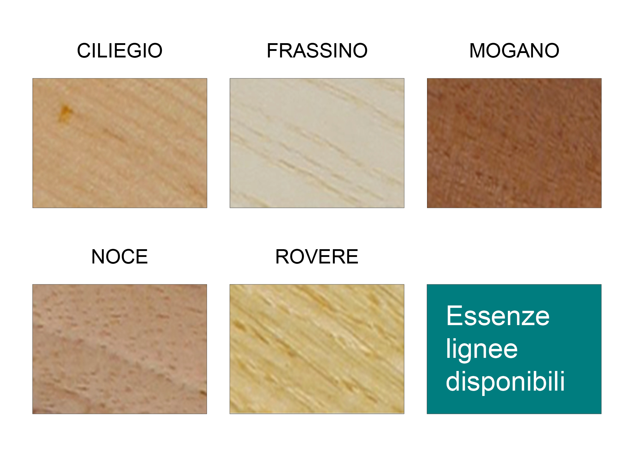 essenze lignee woodbywood